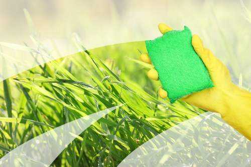 Professional window cleaning for homes in KT6