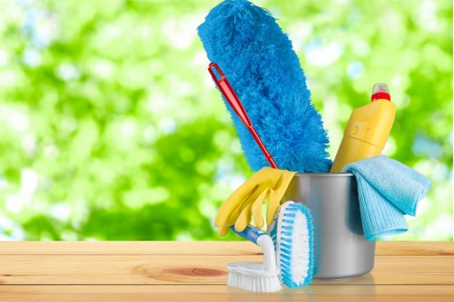 Local carpet cleaner working in a KT6 home living room