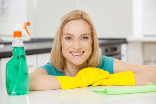 Professional carpet cleaning service for a KT6 home interior