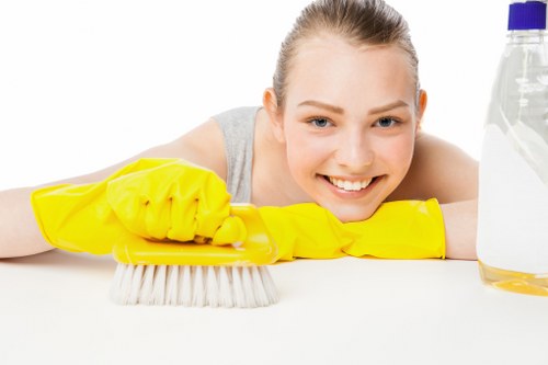 Commercial and domestic cleaning support for customers in KT6