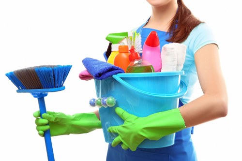 Health and safety review during a carpet cleaning service