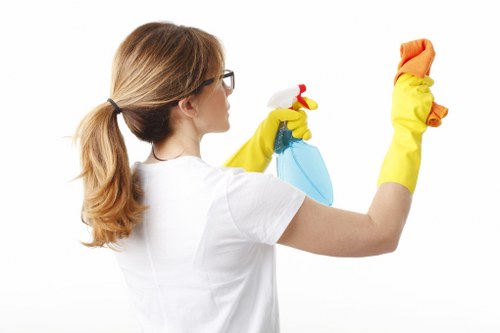 Regular domestic cleaning in a KT6 kitchen and living space