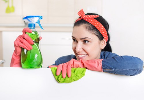 Deep cleaning tasks for kitchens and bathrooms in KT6