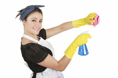 Domestic and commercial cleaning support available across KT6